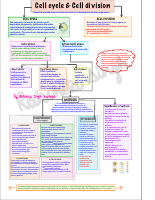 CELL CYCLE AND CELL DIVISION .pdf